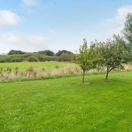 Lovely Home In Haderslev With Sauna Ferienhaus Haderslev
